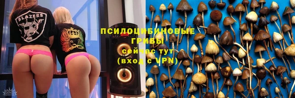 spice Арсеньев